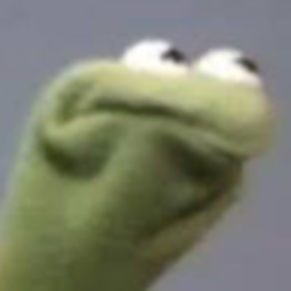 kermit0_0frog